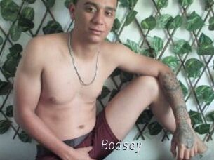 Bodsey
