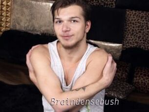 Braindensebush