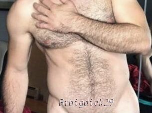 Brbigdick29