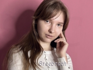 Breebrach