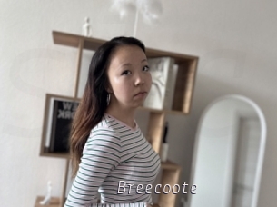 Breecoote