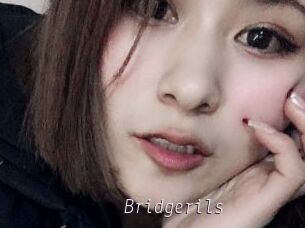 Bridgerils