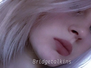 Bridgetalkins