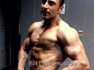 Bull_dosemuscles