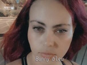 Bunny_bleu