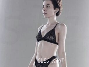 CLEO_MINT