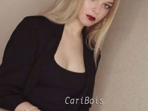 CariBois