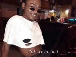 Cattleya_bad