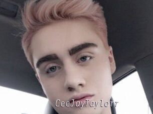 CeeJayTaylorr