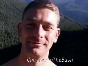 CharleyInTheBush