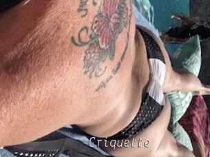 Criquette