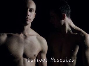 Curious_Muscules