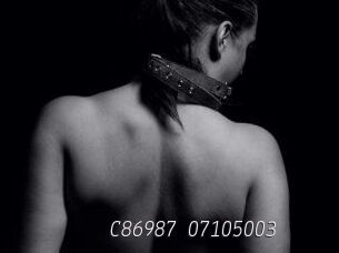 C86987-07105003