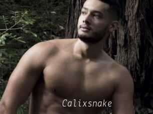 Calixsnake