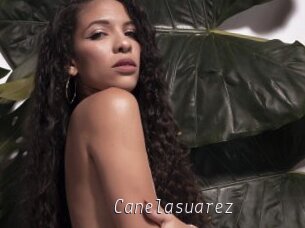 Canelasuarez