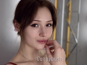 Carrybush