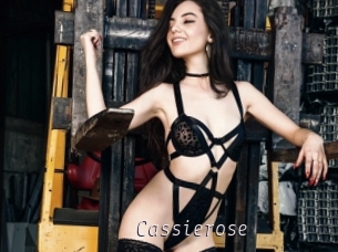 Cassierose