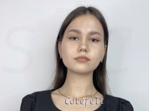 Catefelt