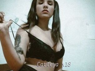 Catleya_x18