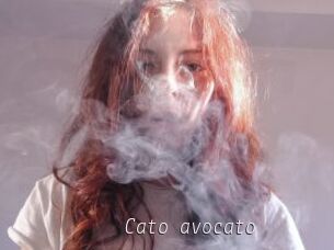 Cato_avocato