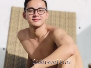 Ceddiecollins