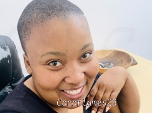 Cocoflames23