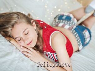 Collegedove