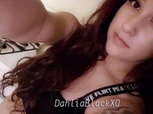 DahliaBlackXO