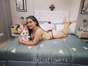 Daliaflowers