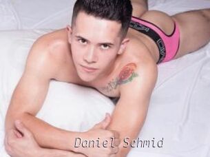 Daniel_Schmid