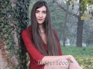 Didgeridoo
