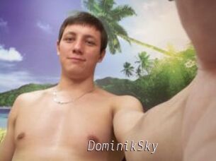 DominikSky