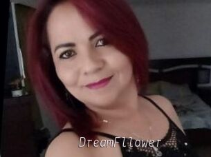 DreamFllower