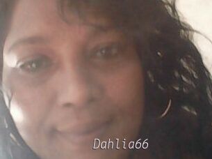 Dahlia66
