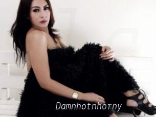 Damnhotnhorny
