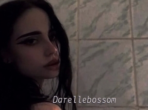 Darellebossom