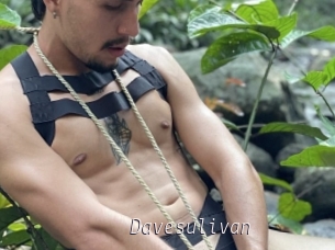 Davesulivan