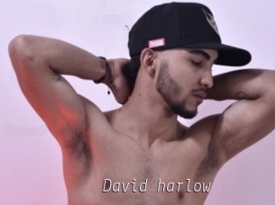 David_harlow