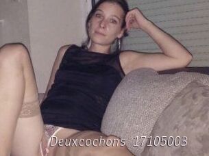 Deuxcochons