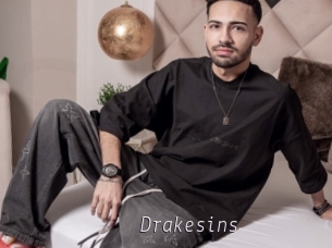 Drakesins