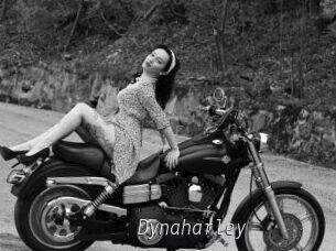 Dynaharley