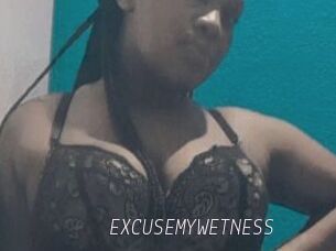 EXCUSEMYWETNESS