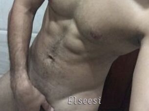 Elseesi