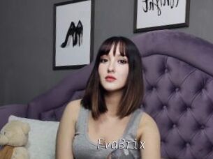 EvaBrix