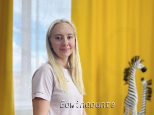 Edwinabunte
