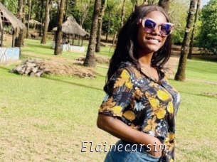 Elainecarsim