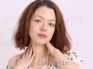 Elenecaris