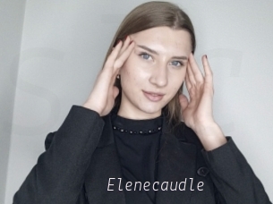 Elenecaudle