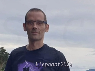 Elephant2024