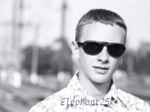 Elephant25